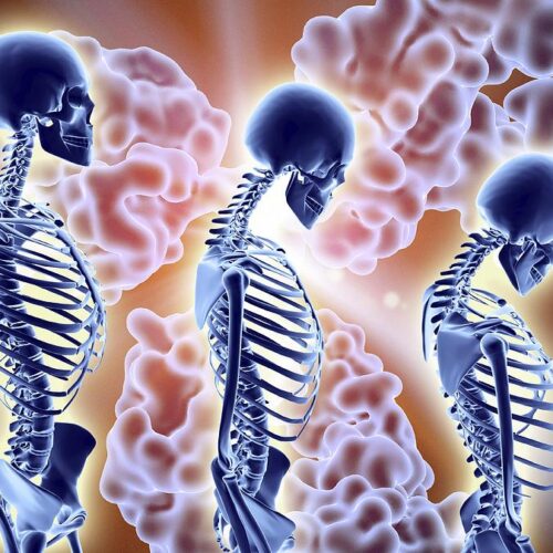 1-osteoporosis-treatment-with-antibodies-alfred-pasieka
